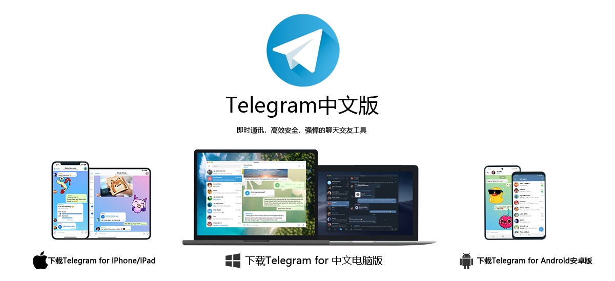 2025款高仿新版假飞机假TG源码/以及搭建教程